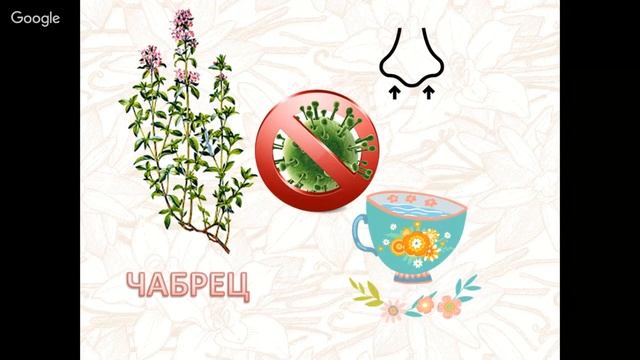 МАГИЯ ДЛЯ ДОМА. ВОЛШЕБСТВО АРОМАТОВ В ВАШЕМ САДУ. смотреть онлайн