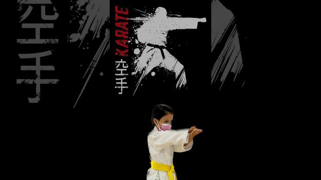 SHOGUN DOJO 2023 смотреть онлайн