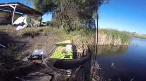 Кораблик для рыбалки Тигр PRO Speed. Завоз снасти на толстолобика