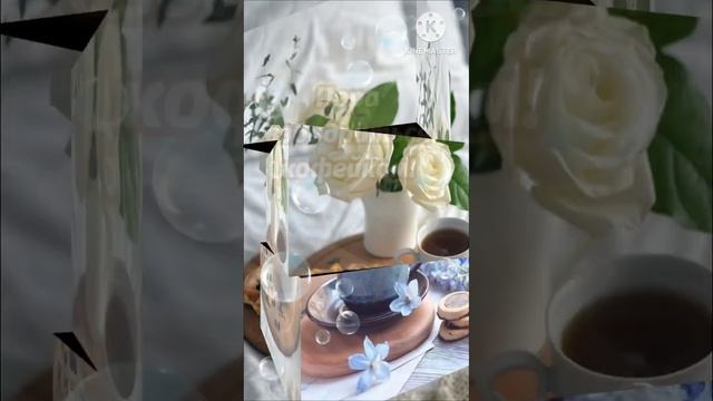 Бодрящая музыка для начала удачного дня. Вы только послушайте и у вас точно все получится! смотреть онлайн