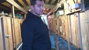 Условия уличного содержание кроликов в клетках своими руками