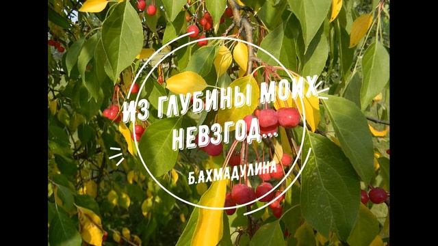 Б Ахмадулина Из глубины моих невзгод #стихиолюбви #поэты20века смотреть онлайн