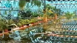 Главный ботанический сад