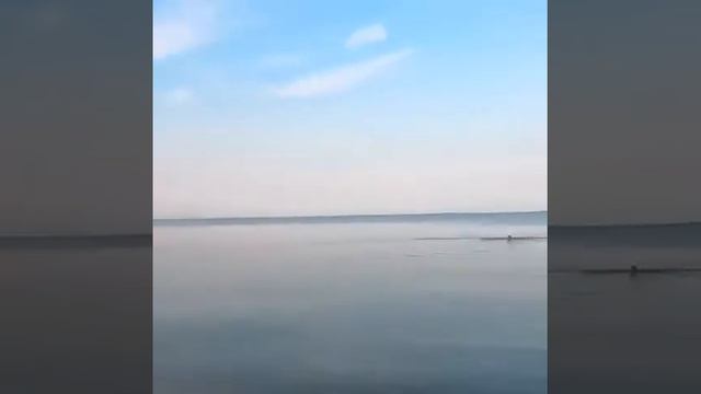 Азовское море - мелкое, теплое, мокрое. смотреть онлайн