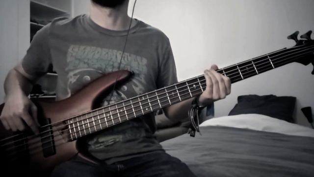 [Bass] Leprous - Echo смотреть онлайн