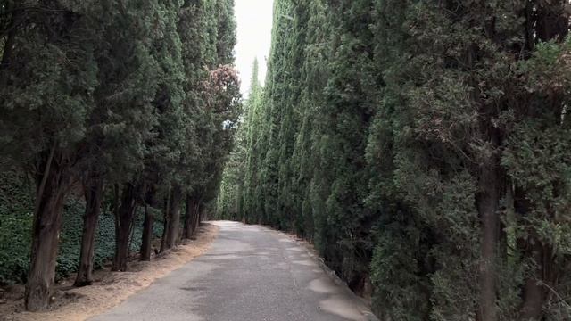 Тбилиси 2021. Канатная дорога. Ботанический сад. Улица Ботаническая. Прогулка по старому Тбилиси. смотреть онлайн