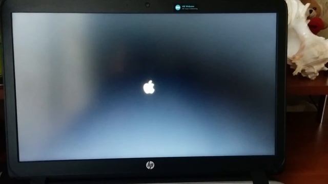HP ProBook 450 G2 Broadwell HD5500 Booting OS X El Capitan 10.11.6 смотреть онлайн