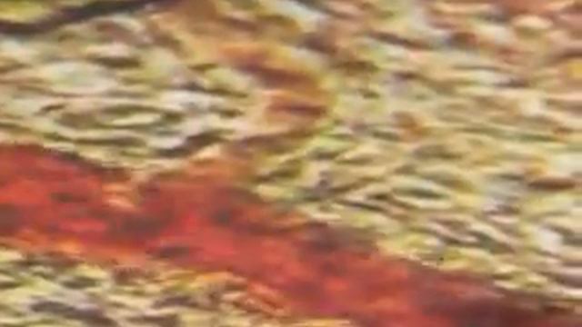 NiN - no you don't remix [42 sec version] смотреть онлайн