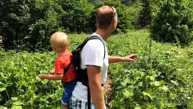 Гора фишт | Путешествие по Краснодарскому краю | Переезд в Краснодар смотреть онлайн