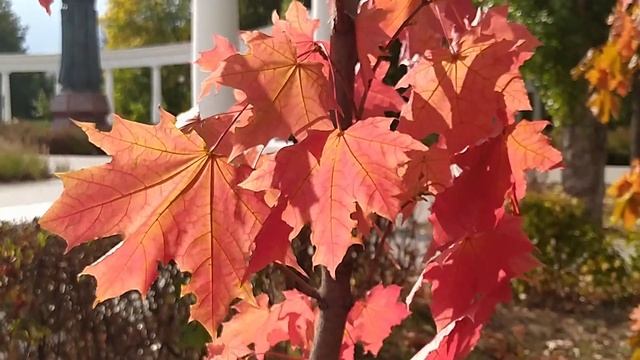 Солнечный день в Чебоксарах! смотреть онлайн