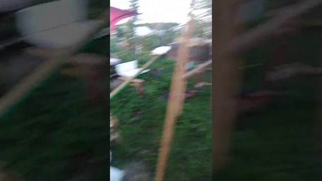 В гостях у садовода смотреть онлайн