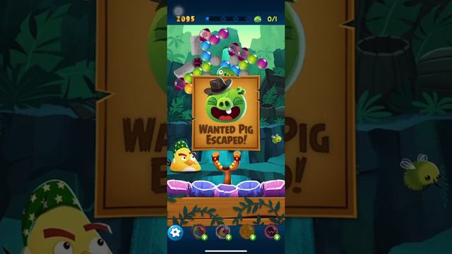 AB POP Angry Birds Level 242-244 game play hard level Win Win with high score! смотреть онлайн