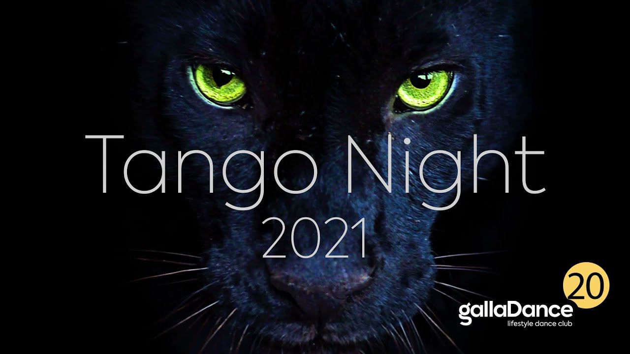 Tango Night Wild Safari 2021 смотреть онлайн