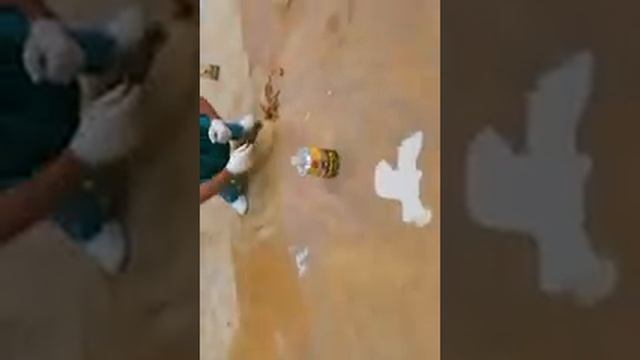 Удаление старого клея на комерческо мармолиуме смотреть онлайн