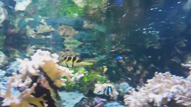 зоопарк испания