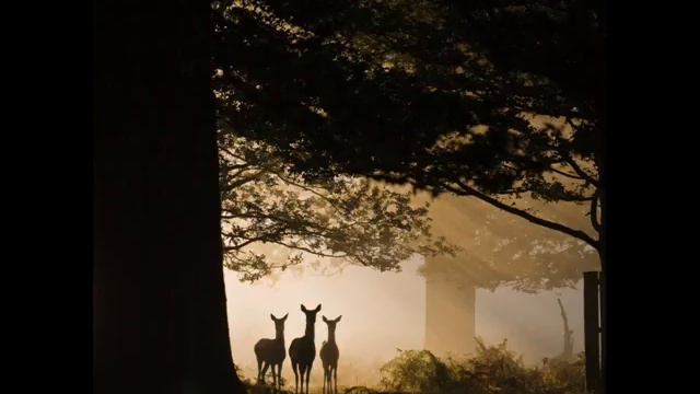 RALPH VAUGHAN WILLIAMS - FANTASIA ON GREENSLEEVES смотреть онлайн