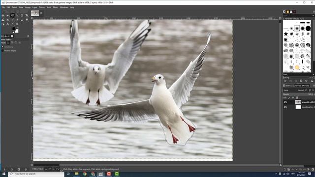 How to Cut an Image in GIMP смотреть онлайн