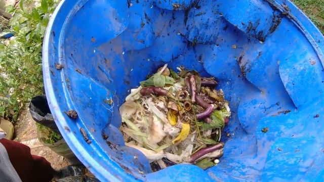 BARREL HOME COMPOSTER | HOME COMPOSTING Baguio City Philippines смотреть онлайн