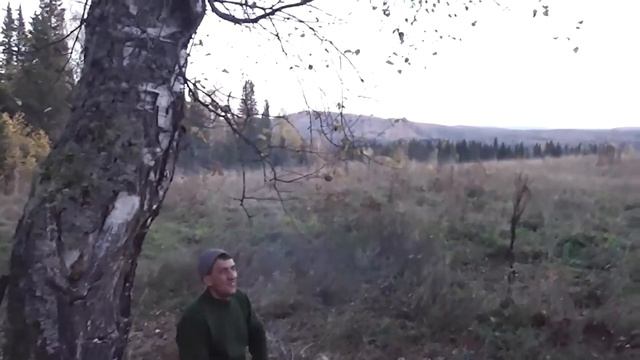 Охота с гончими - результат смотреть онлайн