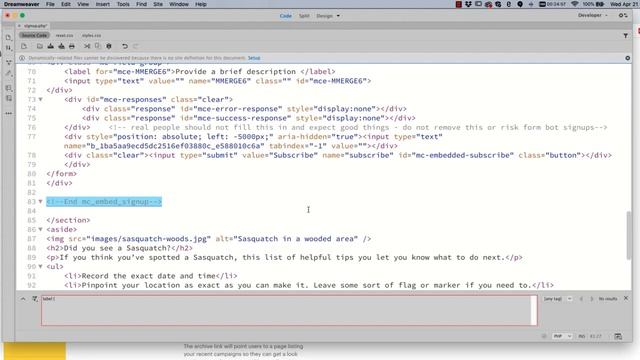 Embedding & Styling Your MailChimp Form - Updated 2022 смотреть онлайн
