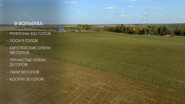 Усадьба Лебединое смотреть онлайн