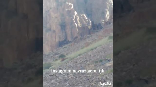 Таджикистан, Ашт, Понгоз,. Гора Чилдохтарон смотреть онлайн