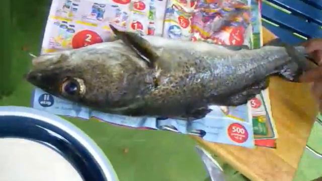 НОРВЕЖСКИЕ ЗАМЕТКИ .НА РЫБАЛКУ ХОРОШО ХОДИТЬ С УТРА. смотреть онлайн