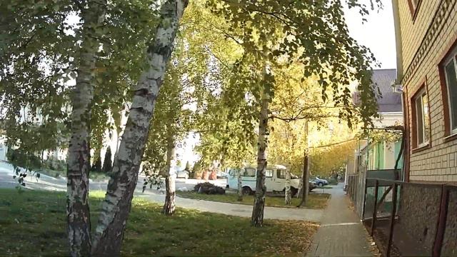 #АЛЕКСЕЕВКА 🌞 Какие чудные берёзки! Кто их посадил - дай Бог здоровья этому человеку! // Озеру коне смотреть онлайн