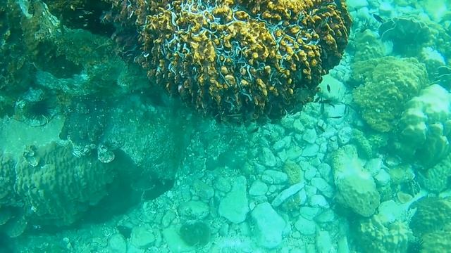 Снорклинг в Таиланде! Обзор полнолицевой маски для снорклинга! смотреть онлайн