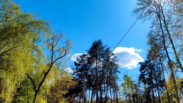 Черкассы. 1 мая. Сосновский парк. смотреть онлайн