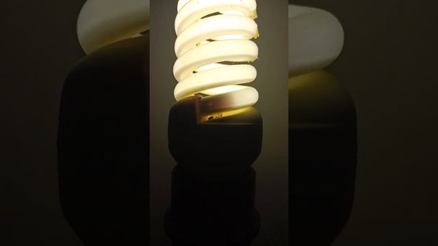 CFL EOL смотреть онлайн