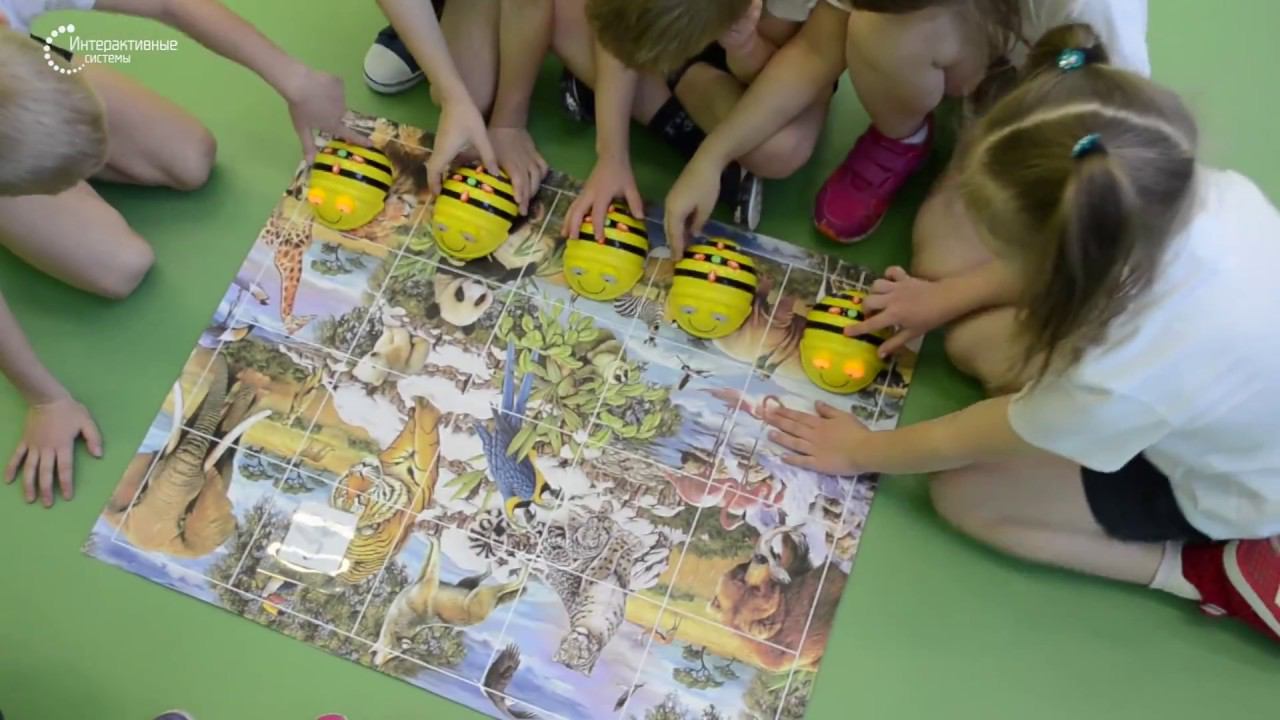 Интерактивные мини-роботы на подвижном занятии смотреть онлайн