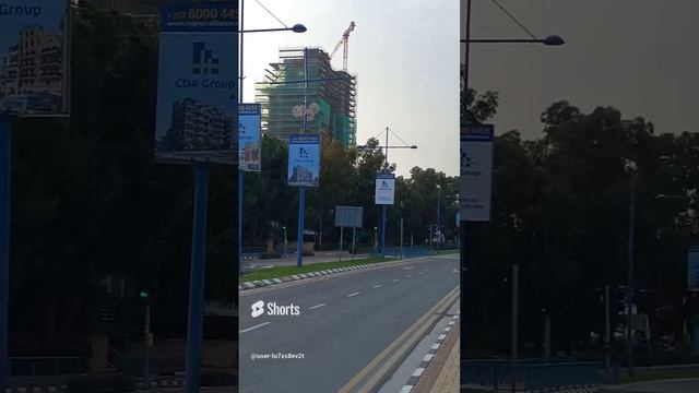 Кипр, Лимасол, дорога, машина, автомобиль, мандарины, мандариновое дерево, транспорт