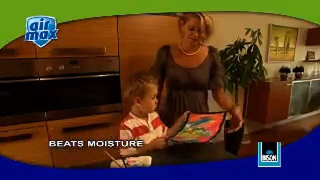 Одноразовый поглотитель влаги Bison Air Max Compact 100 G.