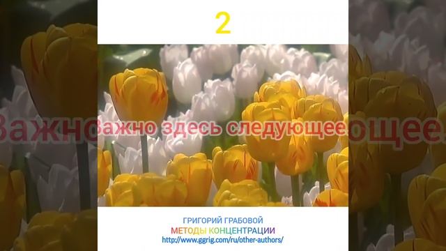2 день месяца.Упражнения на каждый день месяца. смотреть онлайн