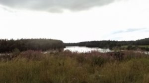 Мы с тобой не играли в любовь