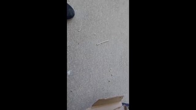 #VLOG: ЭТО ПРОСТО ВЫНОС МОЗГА!!!! 29.01.21 смотреть онлайн