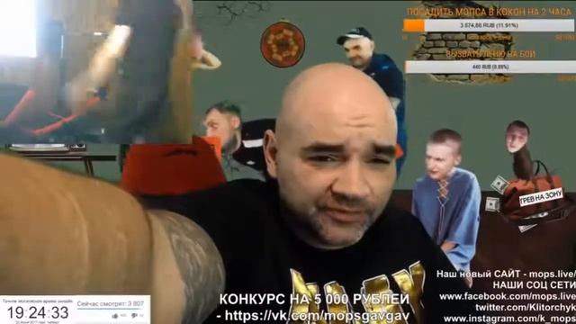 МОПС УРОНИЛ ШТАНГУ МОПС ИСПОЛНЯЕТ СО ШТАНГОЙ МОПС ЖИМ ЛЕЖА ЩАДИЛО УГОРАЕТ С МОПСА смотреть онлайн