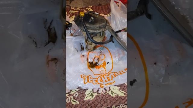 киа не заводится в мороз что делать смотреть онлайн