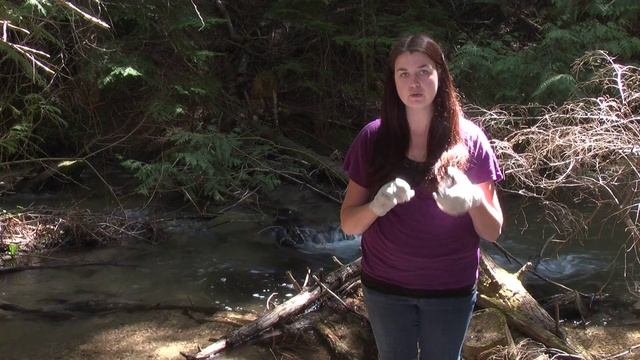 DR 700 Colorimeter смотреть онлайн