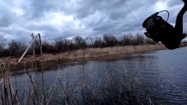 Рыбалка на поплавок в ноябре.. Дикие рыбы атакуют всё... смотреть онлайн