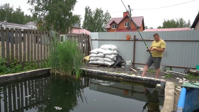 Купил малька белуги смотреть онлайн