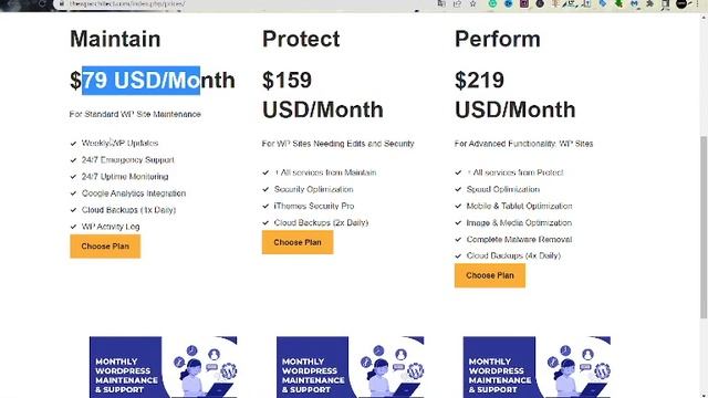 ¿What are WordPress maintenance services? смотреть онлайн