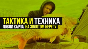 Советы по технике и тактике ловли карпа на водоёме ЗОЛОТОЙ БЕРЕГ ? ИНТЕРВЬЮ / Часть 2