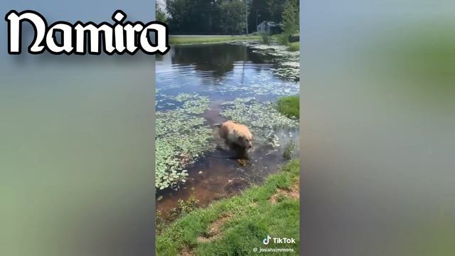 If Daedric princes were memes (Part two) смотреть онлайн