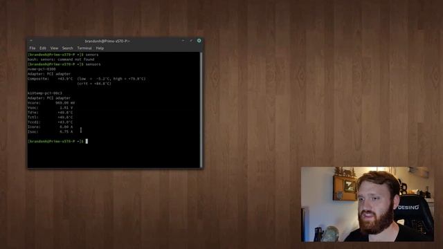 How to Monitor RYZEN CPU Temps in Linux смотреть онлайн