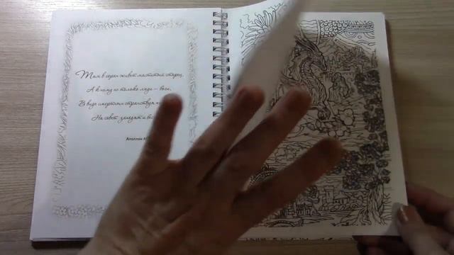 ОБЗОР РАСКРАСОК АНТИСТРЕСС ЦАРСТВО ФАНТАЗИИ И ЖИВЫЕ УЗОРЫ /Полистаем вместе смотреть онлайн