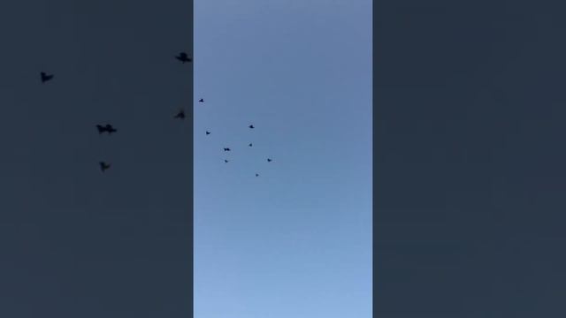 На посадке смотреть онлайн