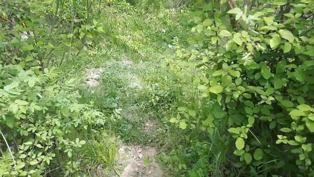 Крым. Речка ,,Большая карасевка" или ,,Биюк-Карасу" шикарный водопад каскад. Таврида. смотреть онлайн