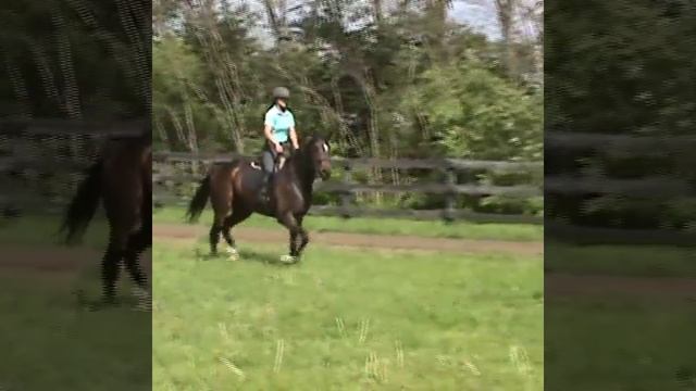 Pebbles jump смотреть онлайн